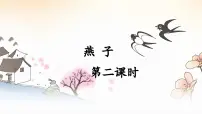 小学语文统编版（2024）三年级下册燕子课前预习ppt课件