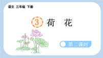 统编版（2024）三年级下册荷花评课ppt课件