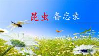 统编版（2024）昆虫备忘录教课内容ppt课件
