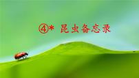 小学语文统编版（2024）三年级下册昆虫备忘录集体备课课件ppt