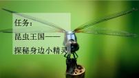 语文三年级下册昆虫备忘录授课课件ppt