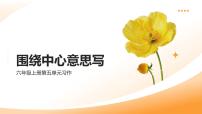 小学统编版（2024）习作：围绕中心意思写多媒体教学ppt课件