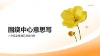 小学统编版（2024）习作：围绕中心意思写多媒体教学ppt课件