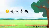 小学语文统编版（2024）一年级下册（2024）树和喜鹊精品ppt课件