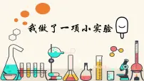 小学统编版（2024）习作：我做了一项小实验完整版课件ppt