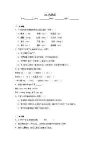 小学语文统编版（2024）三年级下册火烧云精练