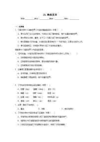 统编版（2024）三年级下册海底世界一课一练