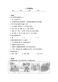 小学语文统编版（2024）三年级下册守株待兔同步练习题