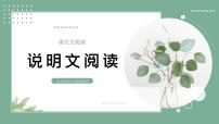 专题03 说明文阅读（课件）-2025年小升初语文阅读指导
