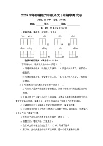 2025学年部编版六年级语文下册期中测试卷