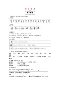 小学语文统编版（2024）二年级下册小毛虫第1课时教案及反思
