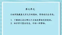 小学语文统编版（2024）三年级下册我们奇妙的世界教学ppt课件