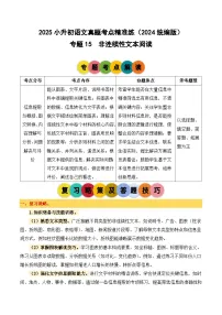 小升初语文备考真题分类汇编 专题15 非连续性文本阅读（原卷+答案）2024-2025学年（统编版）