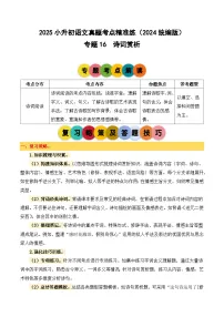 小升初语文备考真题分类汇编 专题16 诗词赏析（原卷+答案）2024-2025学年（统编版）