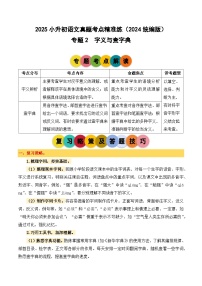 小升初语文备考真题分类汇编 专题2 字义与查字典（原卷+答案）2024-2025学年（统编版）