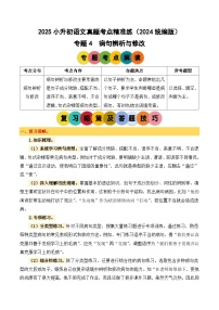 小升初语文备考真题分类汇编 专题4 病句辨析与修改（原卷+答案）2024-2025学年（统编版）