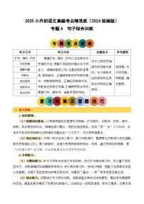 小升初语文备考真题分类汇编 专题6 句子综合训练（原卷+答案）2024-2025学年（统编版）