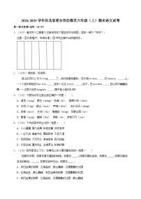 2024-2025学年河北省邢台市信都区六年级（上）期末语文试卷