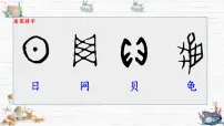 统编版（2024）二年级下册贝的故事教学课件ppt