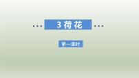 语文荷花课文ppt课件