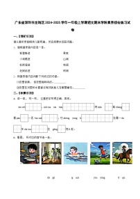 广东省深圳市龙岗区2024-2025学年一年级上学期语文期末学科素养综合练习试卷