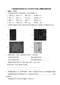 广东省深圳市龙华区2024-2025学年六年级上学期语文期末试卷