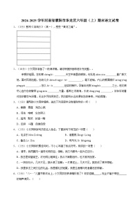 2024-2025学年河南省濮阳市华龙区六年级（上）期末语文试卷