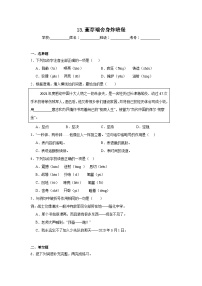 小学语文统编版（2024）六年级下册董存瑞舍身炸暗堡复习练习题