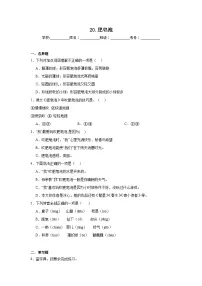 统编版（2024）三年级下册肥皂泡课时作业