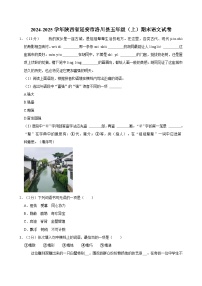 2024-2025学年陕西省延安市洛川县五年级（上）期末语文试卷