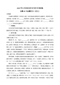 专题09 半命题作文（讲义）-2025年小升初语文作文写作专项训练