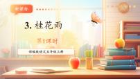 小学语文桂花雨优质课教学课件ppt