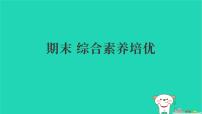 2025四年级语文下学期期末综合素养培优习题课件新人教版
