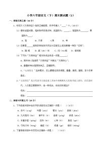 统编版小学六年级语文（下）期末测试题（有答案） (2)
