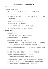 统编版小学六年级语文（下）期中测试题（有答案） (3)