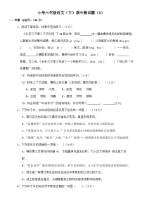 统编版小学六年级语文（下）期中测试题（有答案） (4)