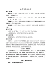 小学语文统编版（2024）六年级上册宇宙生命之谜公开课教案