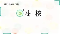 三年级下册枣核说课课件ppt