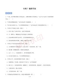专项7 修辞手法-2024-2025统编版六年级下册期中专项练习（小学语文）