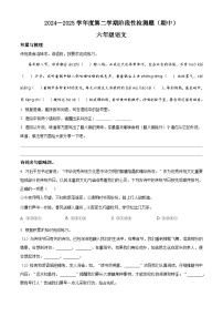 六年级下册 期中考试语文试卷（原卷+答案）2024-2025学年（统编版）