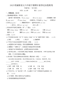 六年级下册语文 期中素养达标监测卷（原卷+答案）2024-2025学年 统编版语文