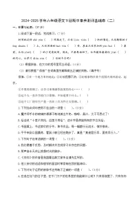 六年级下册语文 期中语文其中素养测评 基础卷2（原卷+答案与解释）2024-2025学年（统编版）