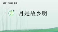 统编版（2024）五年级语文下册3月是故乡明ppt课件
