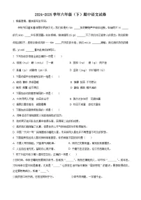 六年级下册 期中考试语文试卷（原卷版+答案与解释）2024-2025学年第二学期 统编版