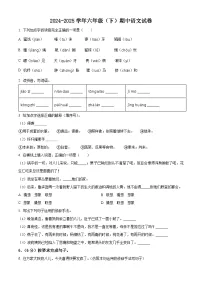 统编版六年级下册期中考试语文试卷（原卷+答案与解释）2024-2025学年第二学期