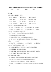 期中常考易错检测卷-2024-2025学年语文五年级下册统编版