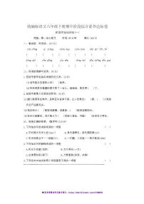 统编版语文六年级下册期中阶段综合素养达标卷试卷(含答案)