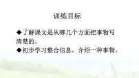 小学语文统编版（2024）三年级下册我们奇妙的世界教学课件ppt