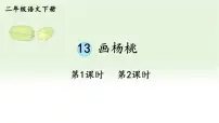小学语文统编版（2024）二年级下册画杨桃教学课件ppt