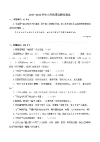 2025小升初语文 模拟（选拔卷03）（原卷版+答案与解释）2024-2025学年第二学期六年级 统编版
